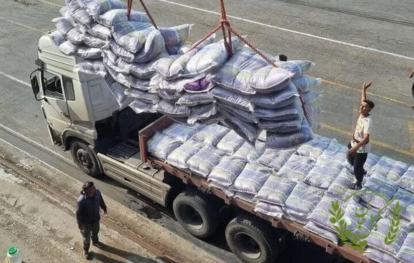 افزایش نجومی قیمت برنج | برنج 30 تا 50 درصد گران شد