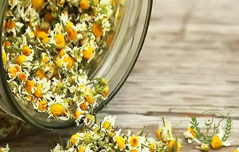 خواص آرام‌بخش و تاثیر دمنوش بابونه بر کاهش استرس