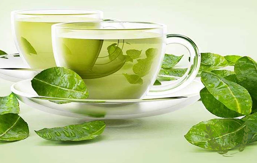 نحوه مصرف بهینه چای سبز برای حفظ سلامت کبد