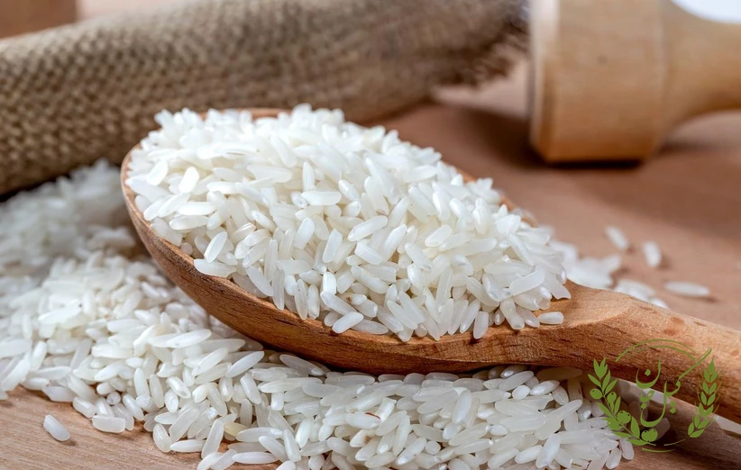 آینده بازار برنج در ایران: پیش‌بینی‌ها و نکات مهم