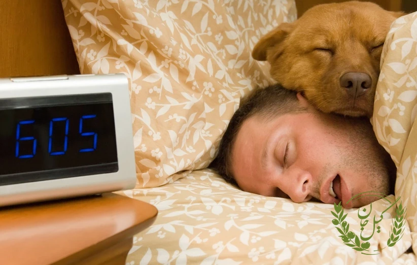 سحرخیزی و افزایش بهره‌وری روزانه