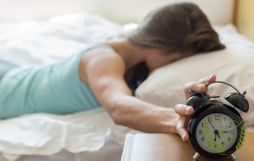 جمع‌بندی و نکات کلیدی برای بهره‌مندی از خاصیت سحرخیزی