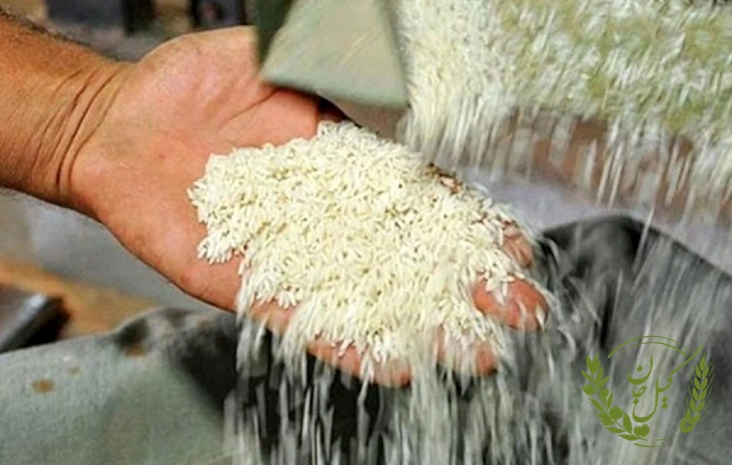 نتیجه‌گیری