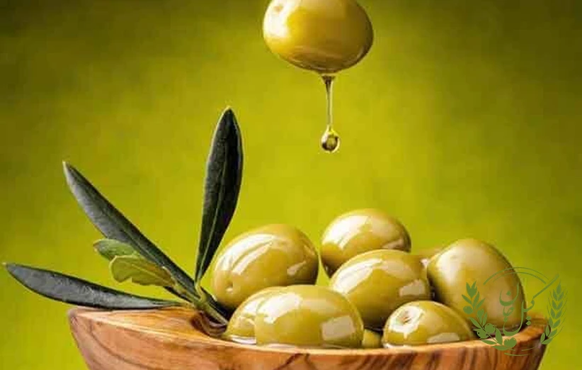 زیتون و تأثیر آن بر سیستم ایمنی و پیشگیری از سرطان