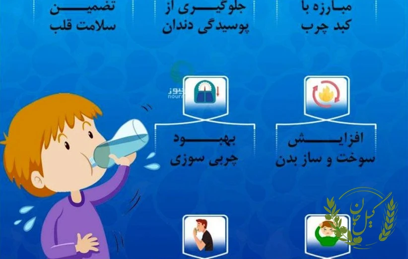 تقویت سیستم ایمنی و دریافت ویتامین‌ها و مواد مغذی