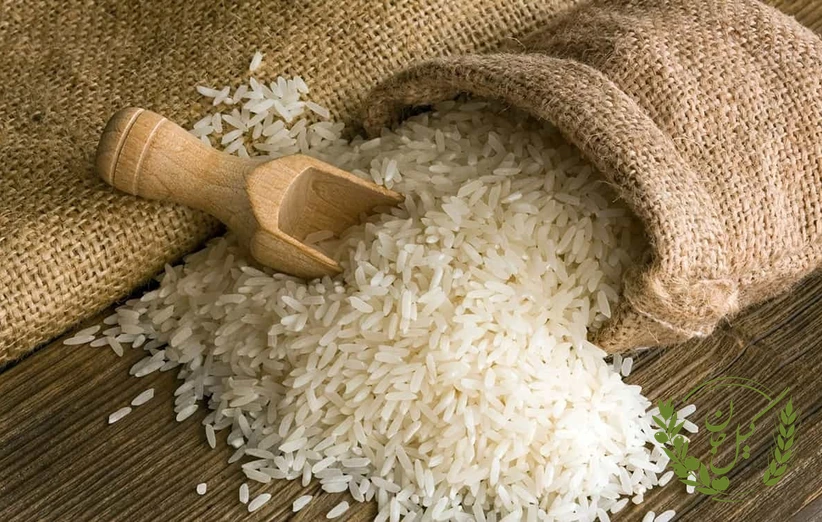 تفاوت برنج‌های شمال و جنوب ایران در پخت