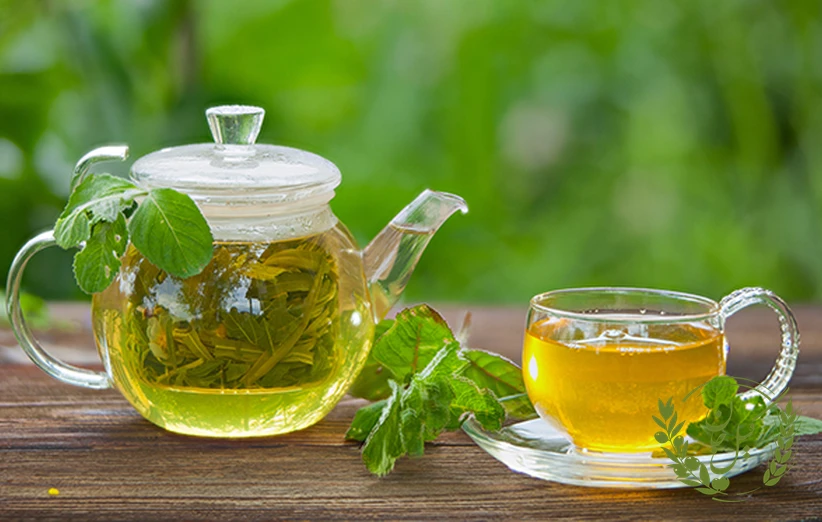 چای سبز و کاهش وزن: کمک به چربی‌سوزی و افزایش متابولیسم