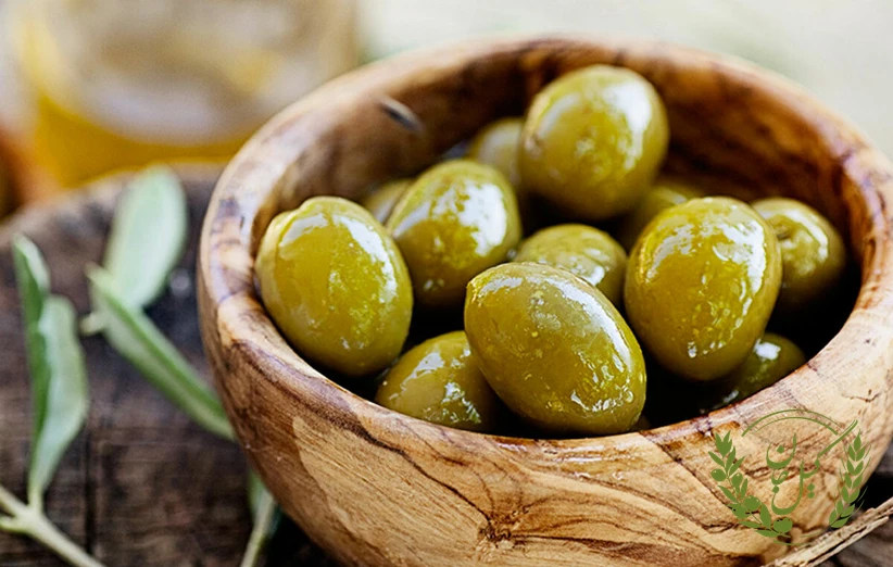 جمع‌بندی خواص زیتون و پیشنهادات کاربردی