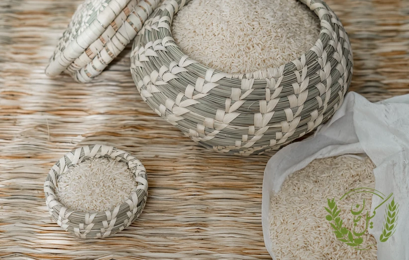 برنج هاشمی: طعم بی‌نظیر و عطر دلنشین