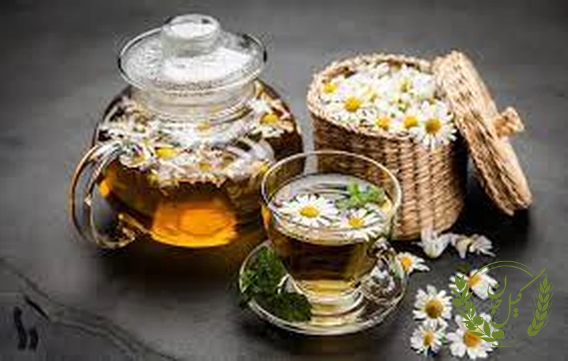 جمع‌بندی و نکات کلیدی درباره خواص دمنوش بابونه