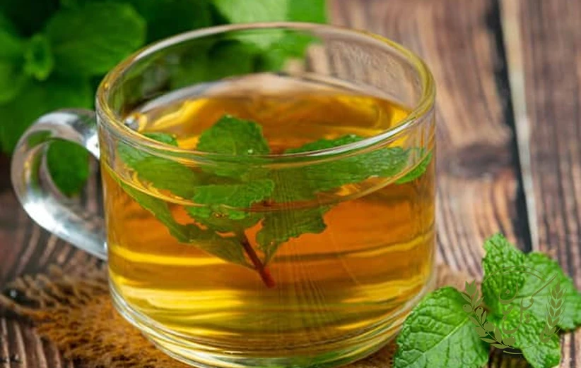 نکات تکمیلی و هشدارهای مصرف چای سبز