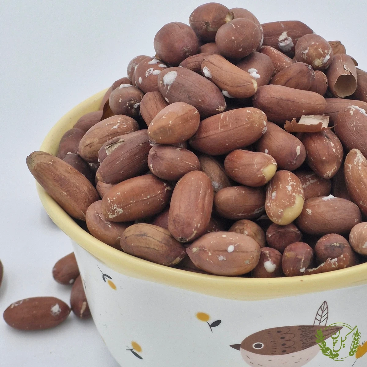 بادام زمینی آستانه یک کیلوگرمی