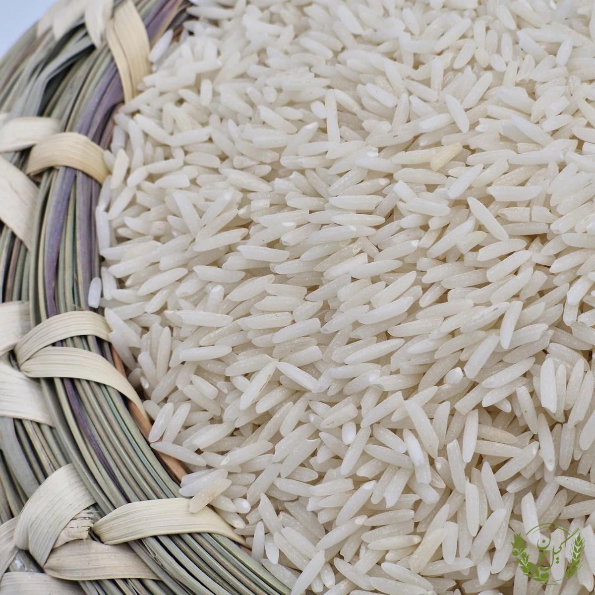 برنج صدری دم سیاه